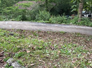 Leaf Removal by Michael Castillo for Cynthia O. in Huntsville, AL