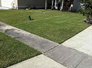 Brian L.'s Grass Cutting service result