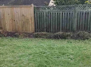 Bush Trimming by Allan Roberts for Patrick B. in Washington, DC