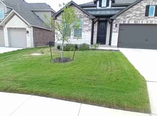 james t.'s Lawn Care service result