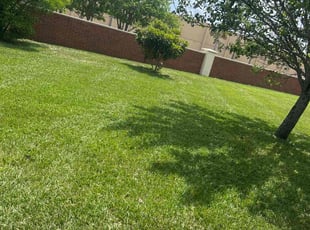 William K.'s Lawn Maintenance service result