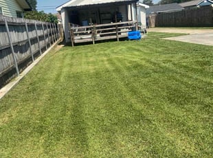 Yvonka C.'s Lawn Care service result