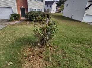 Bush Trimming by Andrew Hudson for Andrea C. in Fairburn, GA
