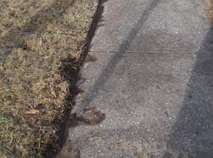 Mulching by Brandon Ryan for Cameron T. in Cincinnati, OH
