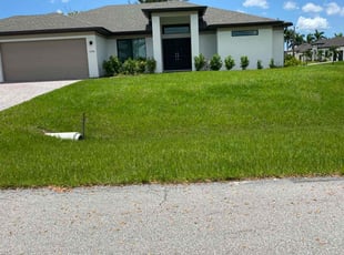 Kristina R.'s Lawn Mowing service result