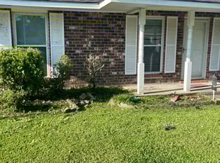 Bush Trimming by Carl George for Vanisha A. in Baton Rouge, LA
