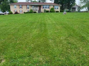 Heather L.'s Lawn Mowing service result