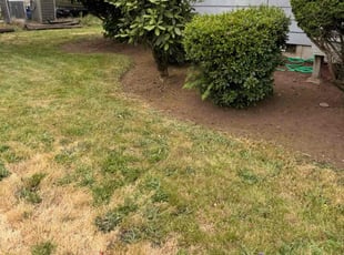 Weeding by Robert Norton for Kelley L. in Vancouver, WA