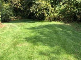 Claudia G.'s Lawn Service service result