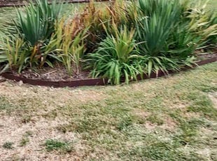 Weeding by Kevin Rodgers for Margie E. in Columbia, SC