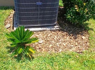 Weeding by William Chavers for Bobby R. in Tampa, FL