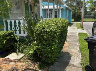 Bush Trimming by Yon Helton for Kelsey G. in St. Augustine, FL
