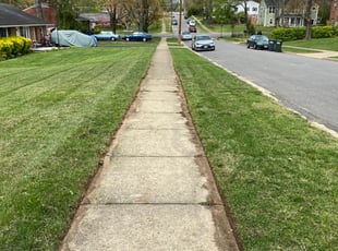 Michael Brett C.'s Grass Cutting service result