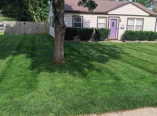 Barbara P.'s Lawn Care service result