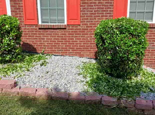 Bush Trimming by Trione Jackson for Taha A. in Stone Mountain, GA