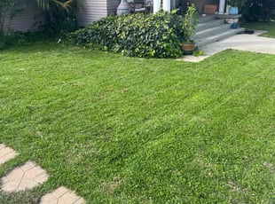 Linda F.'s Lawn Service service result