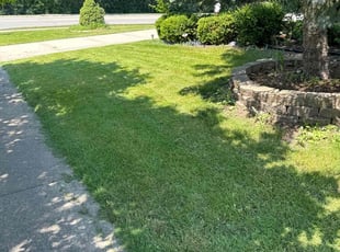 Thomas A.'s Lawn Service service result