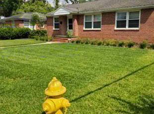 Irene S.'s Lawn Service service result