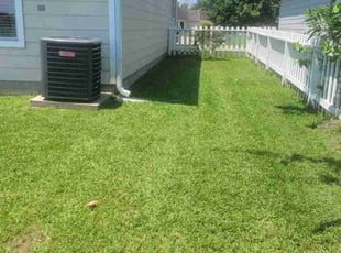 Timothy W.'s Lawn Care service result
