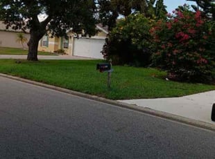 Jenna W.'s Grass Cutting service result