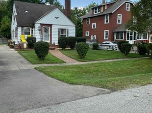 Jane S.'s Grass Cutting service result