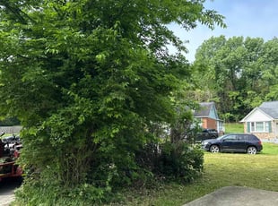 Bush Trimming by Jeffery Russell for Michael W. in Nashville, TN