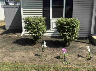 Weeding by Elisha Nelson for Sheri B. in Columbus, OH