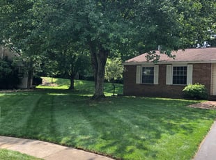 Stephanie D.'s Yard Cutting service result