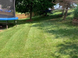 Rhonda J.'s Lawn Service service result