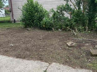 Weeding by Shane Fellers for Trevor M. in Westland, MI