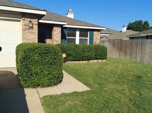 Bush Trimming by Chris Reist for Florus w. in Fort Worth, TX