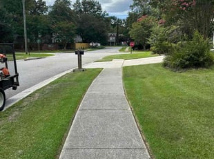 Asha W.'s Lawn Care service result