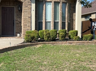 Bush Trimming by Trisha Williams for Krystal O. in Mansfield, TX