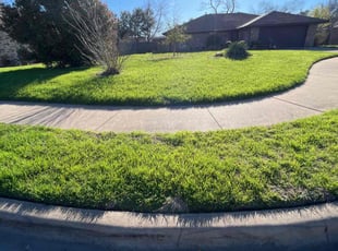 Michael F.'s Lawn Service service result