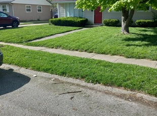 Bush Trimming by James Price for Jonathan H. in Lawrence, IN