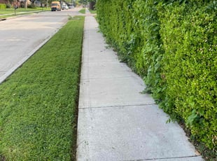 Doug P.'s Lawn Mowing Service service result