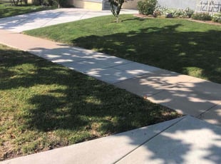 Yonghao M.'s Lawn Mowing service result