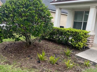 Weeding by Withman Herrera for Sarah C. in Azalea Park, FL