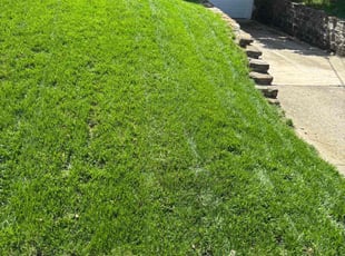 Debra A.'s Lawn Mowing service result