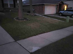 Leaf Removal by JJ Savage for Princeton J. in McKinney, TX