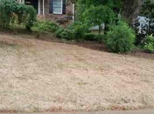 Leaf Removal by Soiver Perez for Justin E. in Roswell, GA