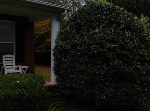 Bush Trimming by Eric Lewis for Robert A. in Waxhaw, NC