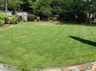 Lillie B.'s Lawn Care service result