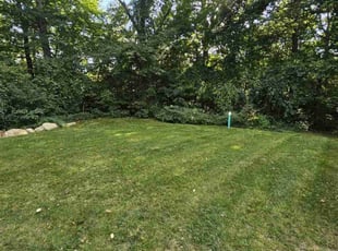 Portia B.'s Lawn Service service result
