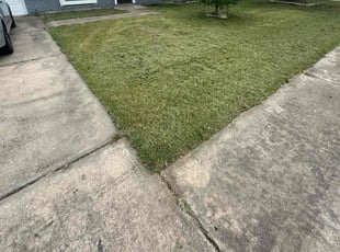 Bradley N.'s Grass Cutting service result