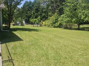 Norah L.'s Lawn Mowing service result