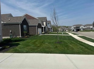 Pat R.'s Lawn Care service result