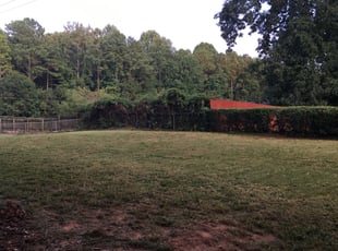 Bush Trimming by Markeiven Ogburn for Jiovanni A. in Jonesboro, GA