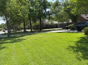 Shamica L.'s Grass Cutting service result