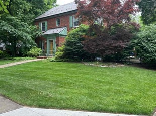 Thalia A.'s Lawn Mowing Service service result